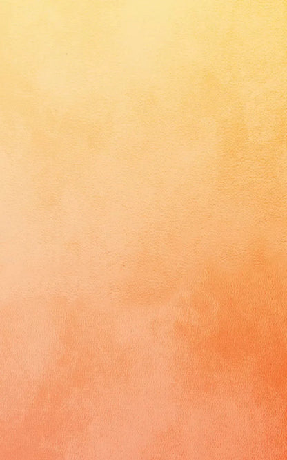 Ember 9X14 Ultracloth ( 108 X 168 Inch ) Backdrop