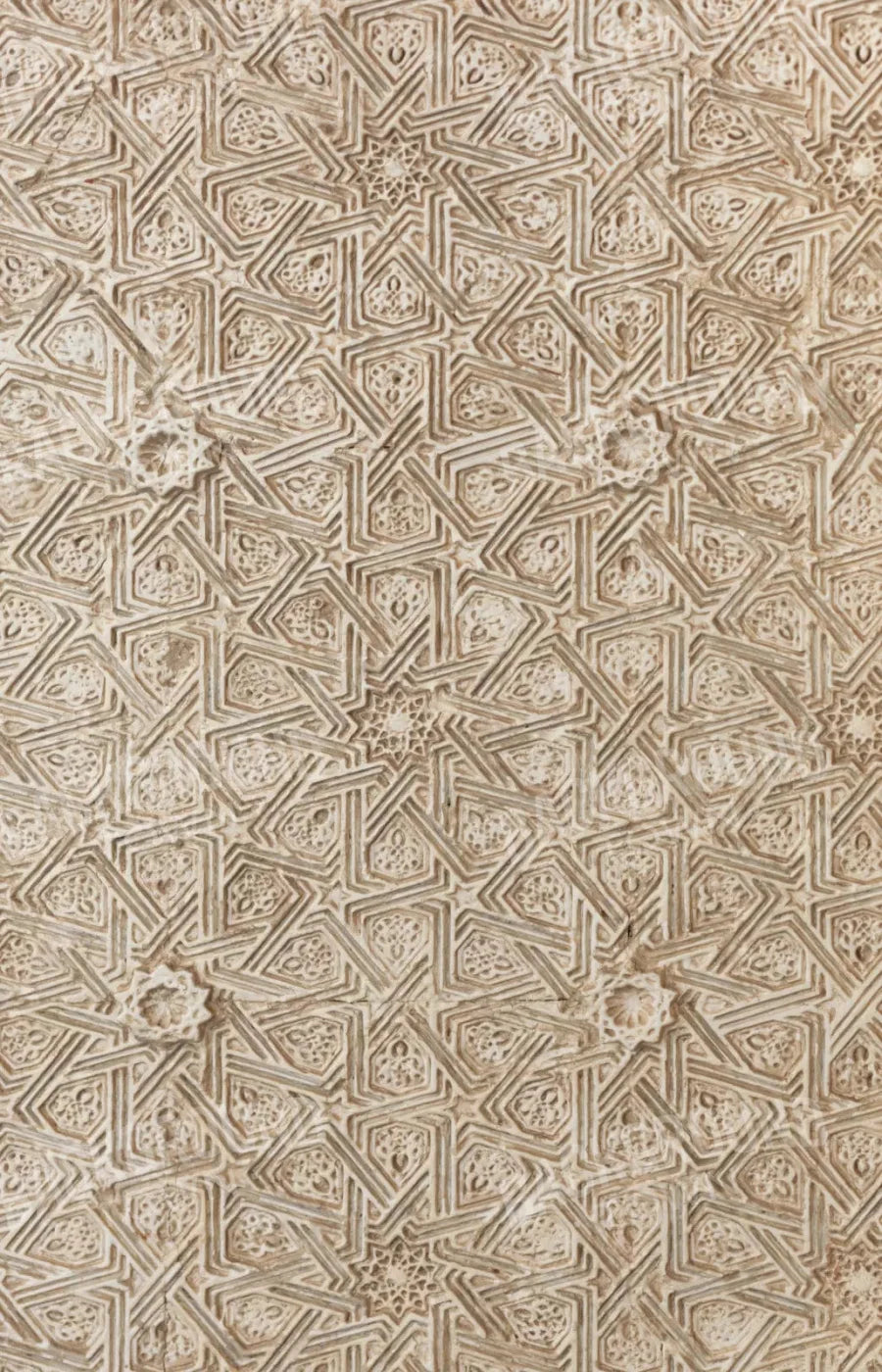 Emblem 8X12 Ultracloth ( 96 X 144 Inch ) Backdrop