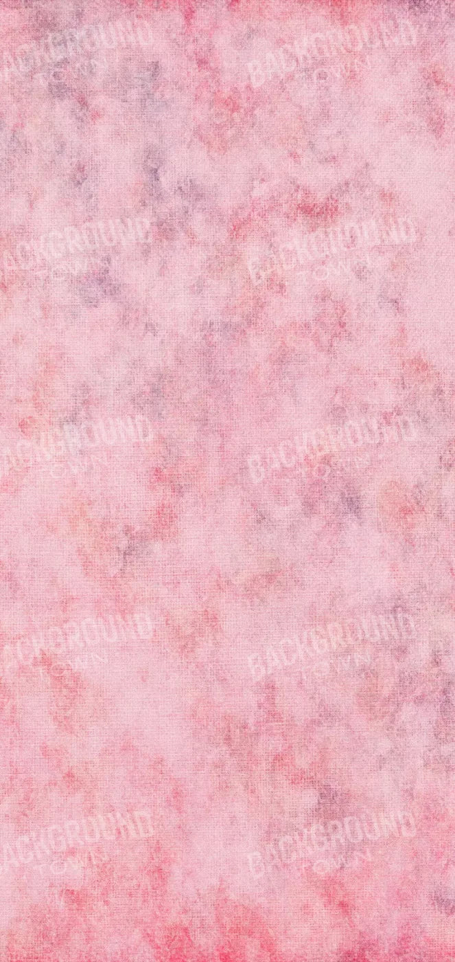 Emelia 8X16 Ultracloth ( 96 X 192 Inch ) Backdrop