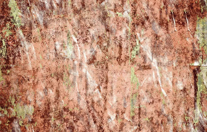 Emerge 12X8 Ultracloth ( 144 X 96 Inch ) Backdrop