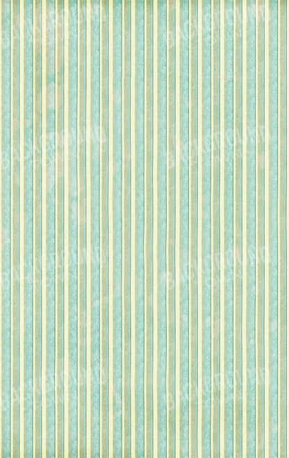 Emmett 10X16 Ultracloth ( 120 X 192 Inch ) Backdrop