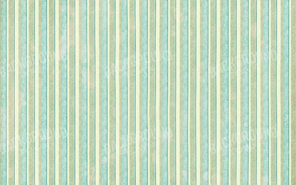 Emmett 14X9 Ultracloth ( 168 X 108 Inch ) Backdrop