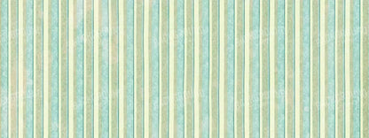 Emmett 20X8 Ultracloth ( 240 X 96 Inch ) Backdrop
