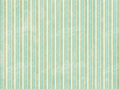 Emmett 68X5 Fleece ( 80 X 60 Inch ) Backdrop