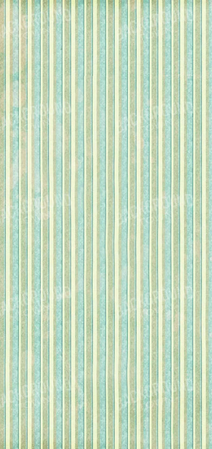 Emmett 8X16 Ultracloth ( 96 X 192 Inch ) Backdrop