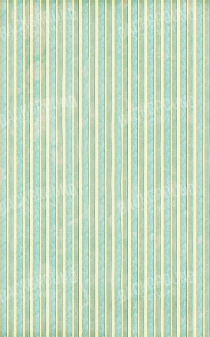 Emmett 9X14 Ultracloth ( 108 X 168 Inch ) Backdrop
