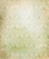 Beige Damask Backdrop for Photography