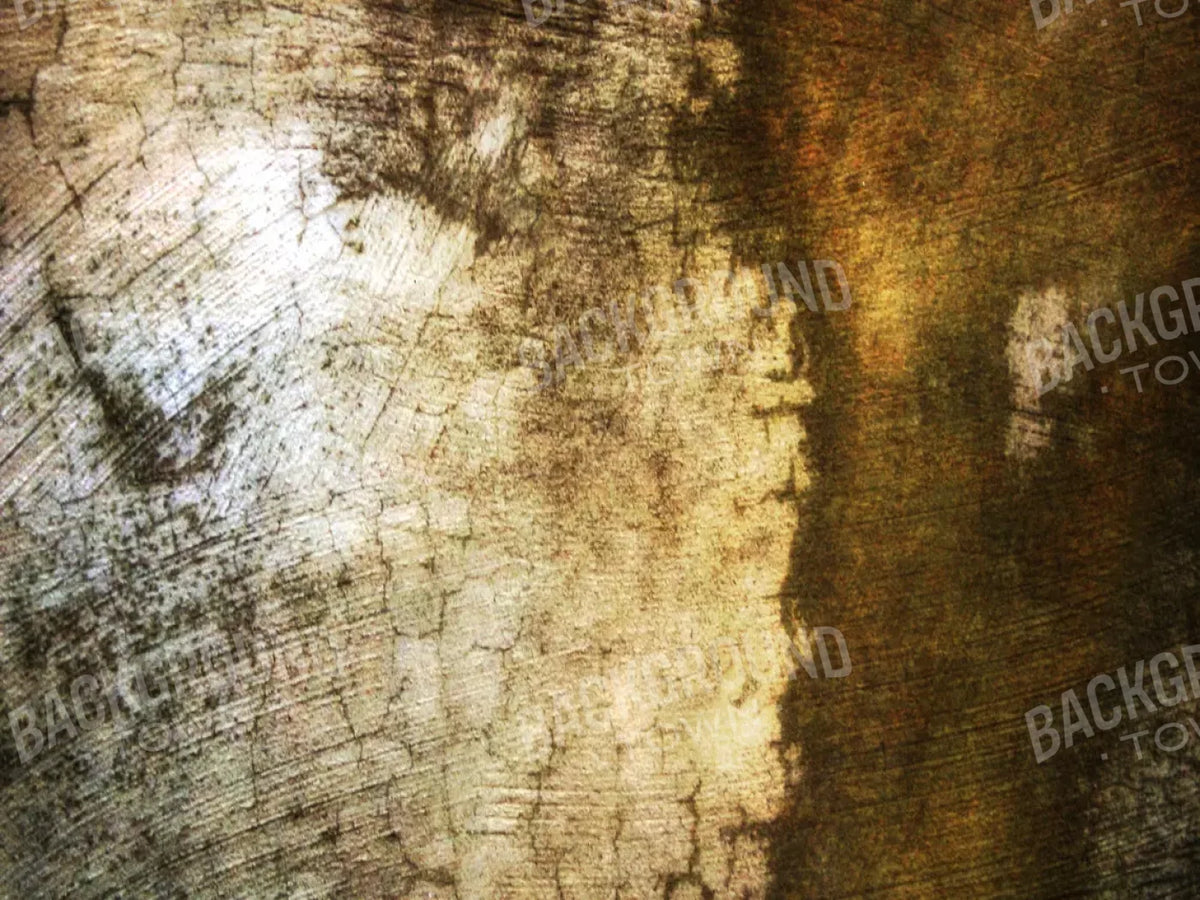 Encounter 10X8 Fleece ( 120 X 96 Inch ) Backdrop