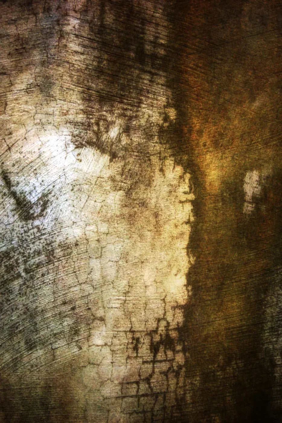 Encounter Backdrop