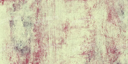 Enlighten 20’X10’ Ultracloth (240 X 120 Inch) Backdrop