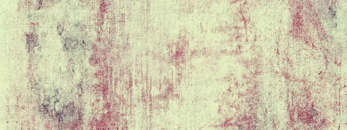 Enlighten 20’X8’ Ultracloth (240 X 96 Inch) Backdrop