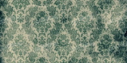Envious 20’X10’ Ultracloth (240 X 120 Inch) Backdrop