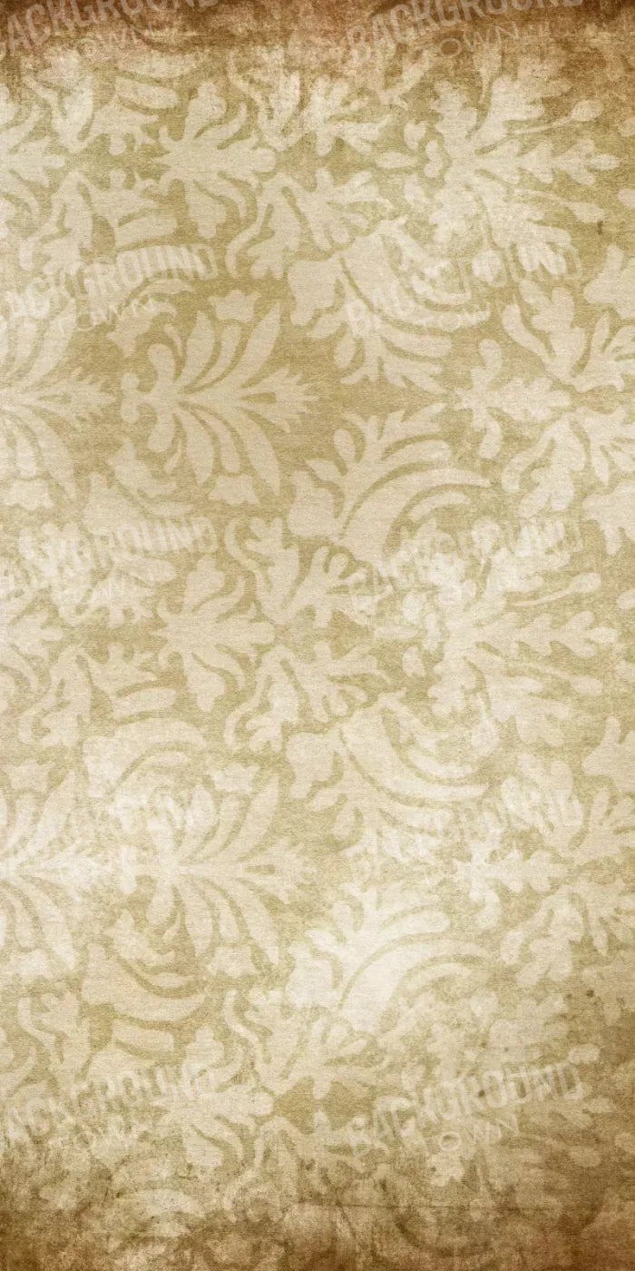 Epitome 10X20 Ultracloth ( 120 X 240 Inch ) Backdrop