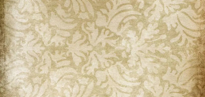 Epitome 16X8 Ultracloth ( 192 X 96 Inch ) Backdrop