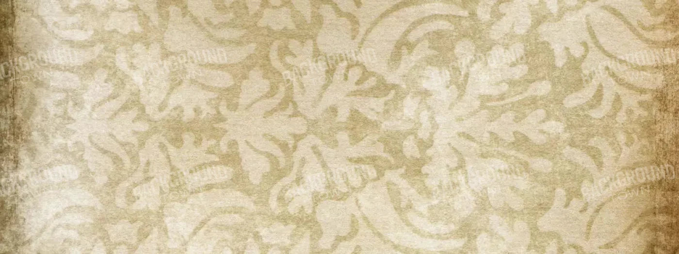 Epitome 20X8 Ultracloth ( 240 X 96 Inch ) Backdrop