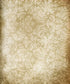 Beige Damask Backdrop for Photography