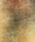 Brown Damask Backdrop for Photography