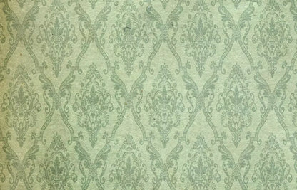 Established 12’X8’ Ultracloth (144 X 96 Inch) Backdrop