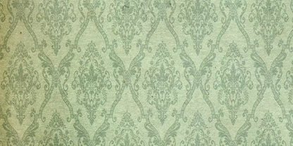 Established 20’X10’ Ultracloth (240 X 120 Inch) Backdrop