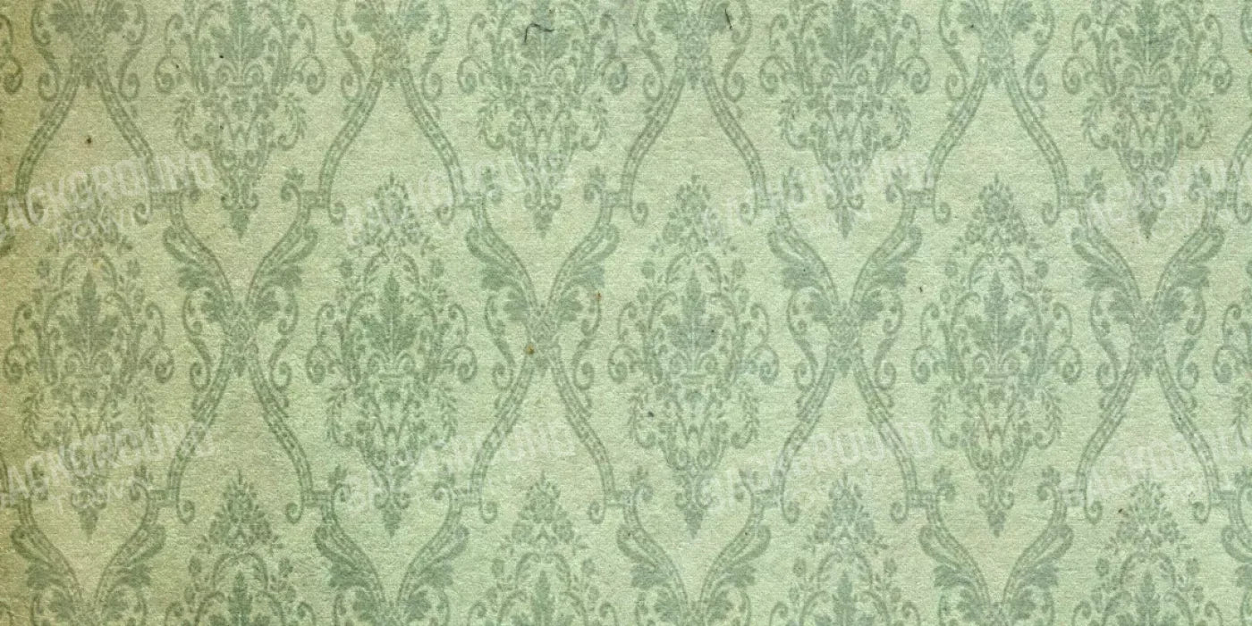 Established 20’X10’ Ultracloth (240 X 120 Inch) Backdrop