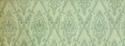 Established 20’X8’ Ultracloth (240 X 96 Inch) Backdrop