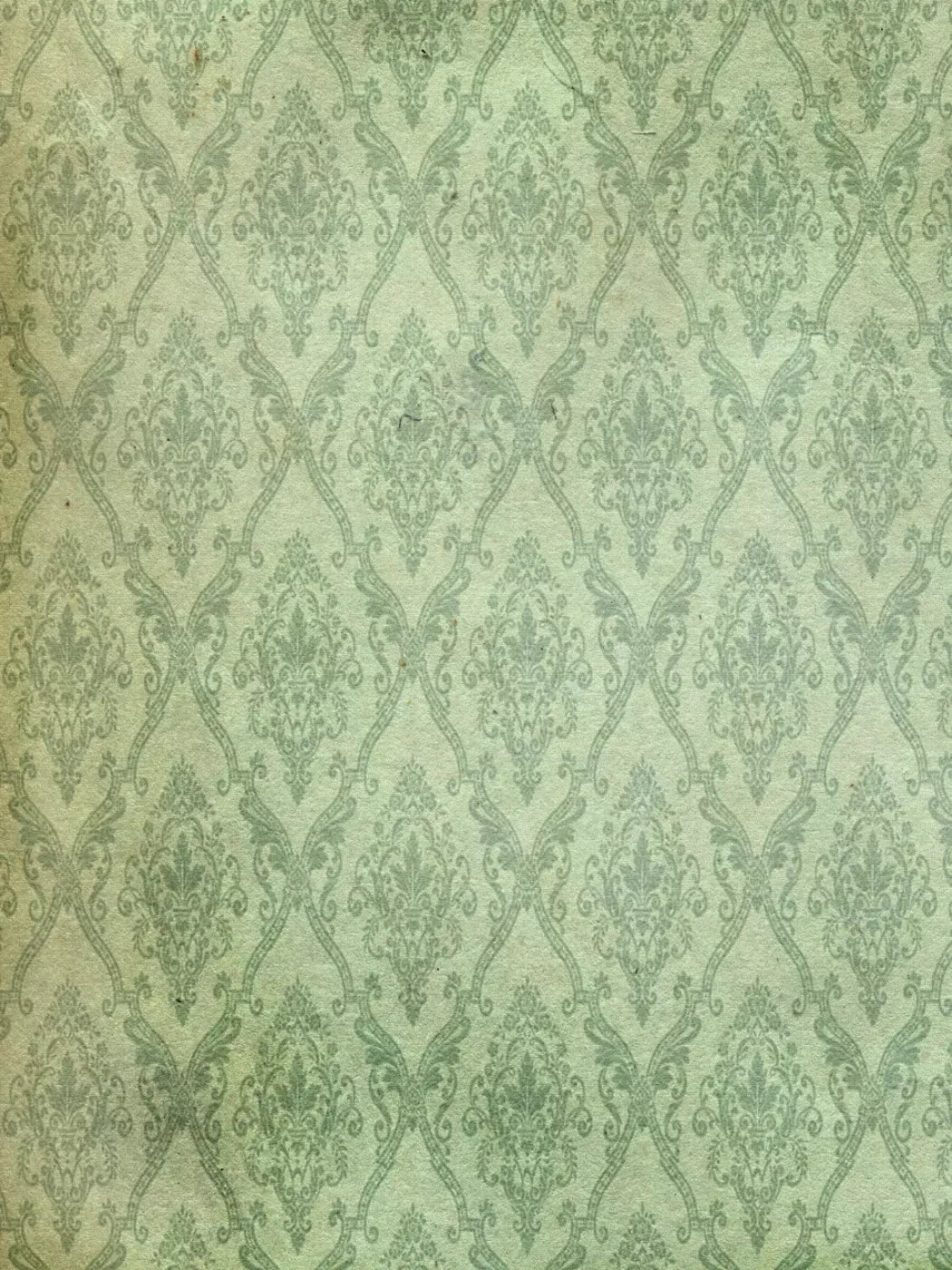 Established 8’X10’ Fleece (96 X 120 Inch) Backdrop