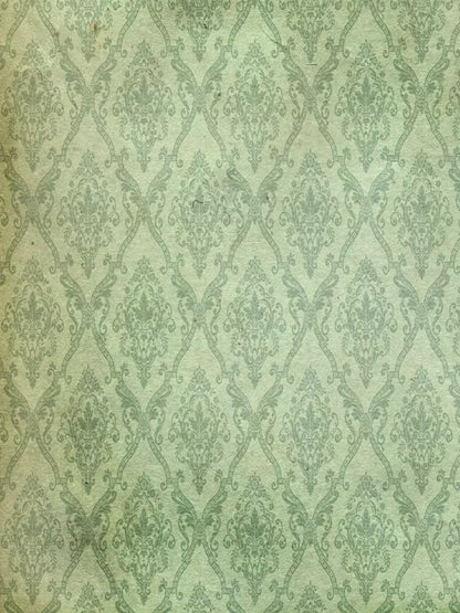 Established 8’X10’ Fleece (96 X 120 Inch) Backdrop