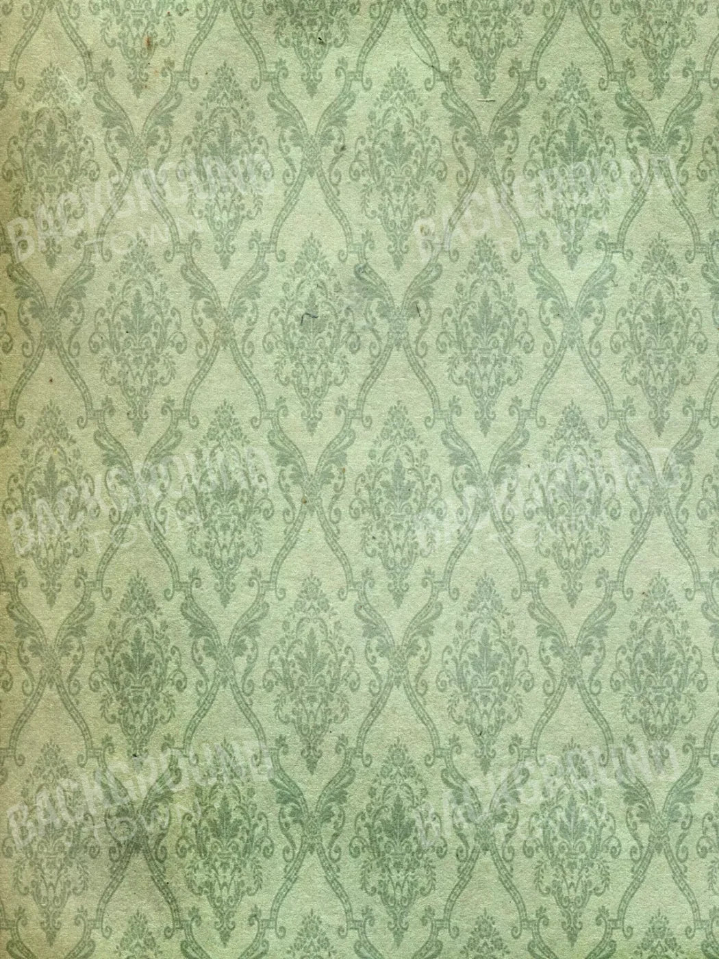 Established 8’X10’ Fleece (96 X 120 Inch) Backdrop