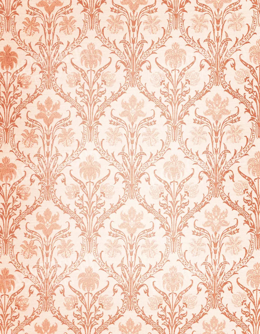 Esther 6X8 Fleece ( 72 X 96 Inch ) Backdrop