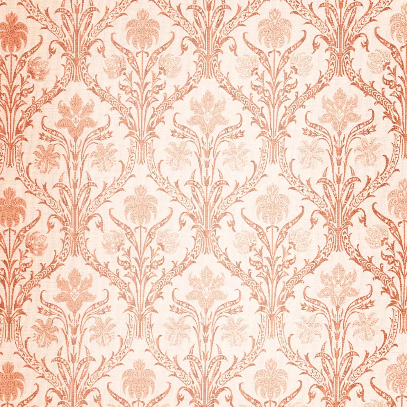 Esther Backdrop