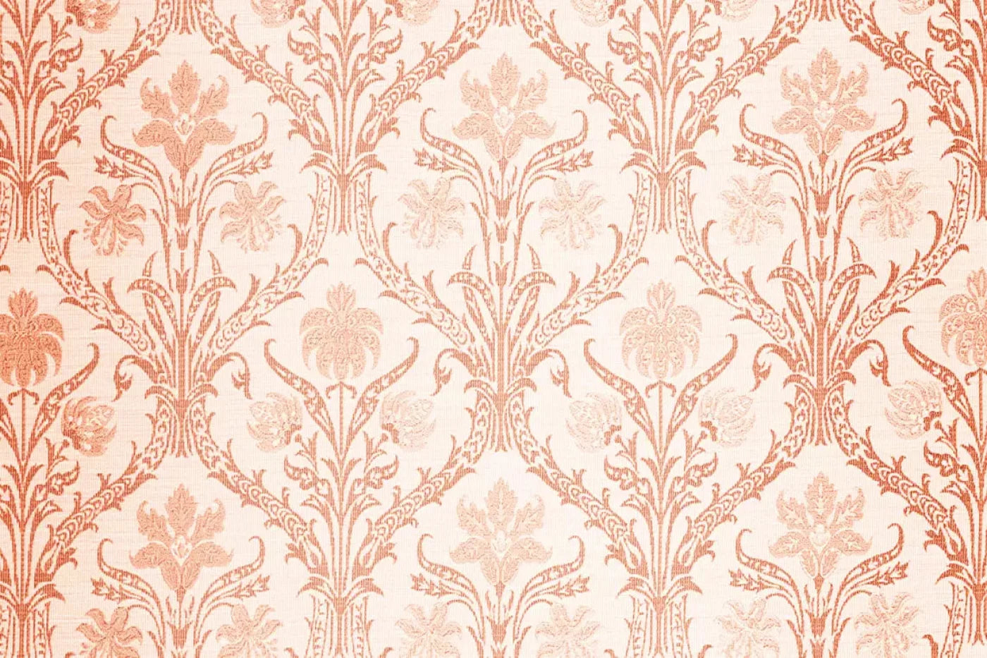 Esther Backdrop