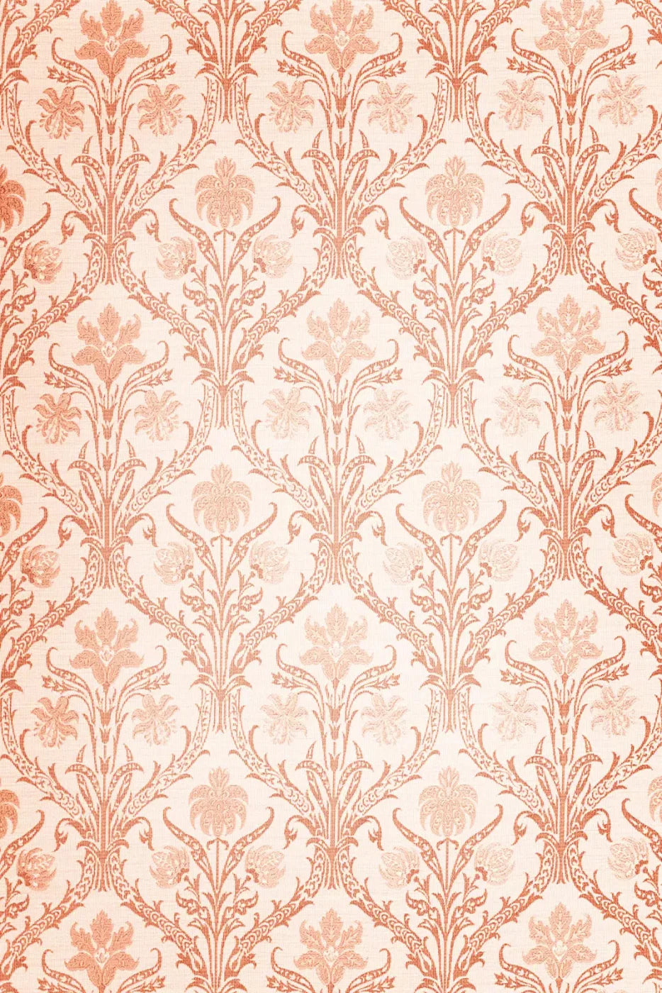 Esther Backdrop
