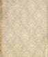 Beige Damask Backdrop for Photography