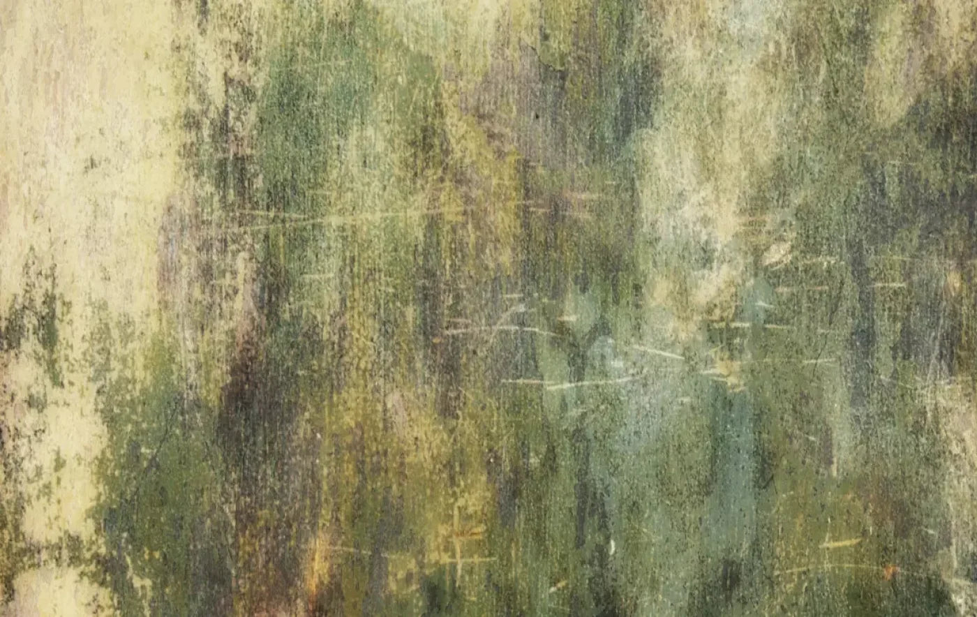 Eucalyptus Grunge 16X10 Ultracloth ( 192 X 120 Inch ) Backdrop