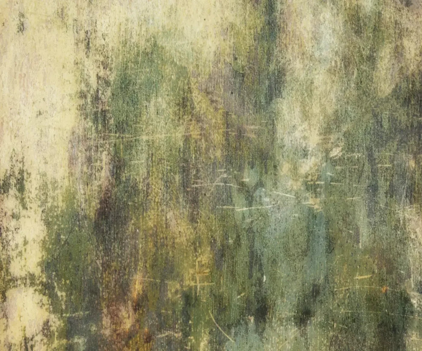 Eucalyptus Grunge 5X42 Fleece ( 60 X 50 Inch ) Backdrop