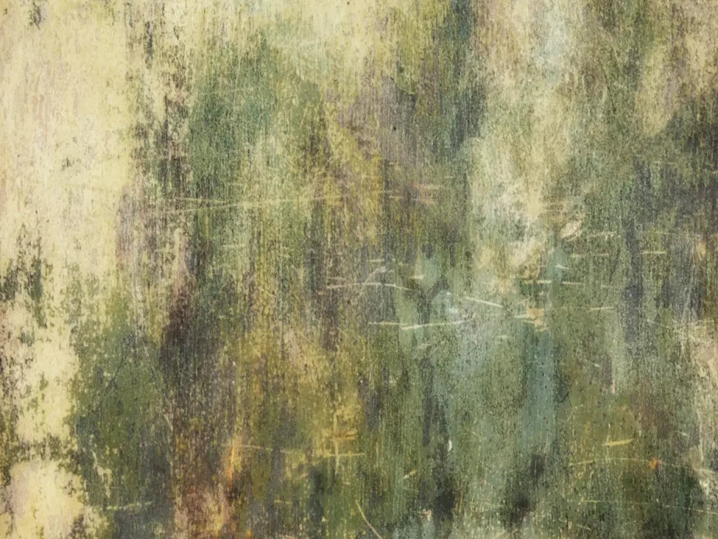 Eucalyptus Grunge 68X5 Fleece ( 80 X 60 Inch ) Backdrop