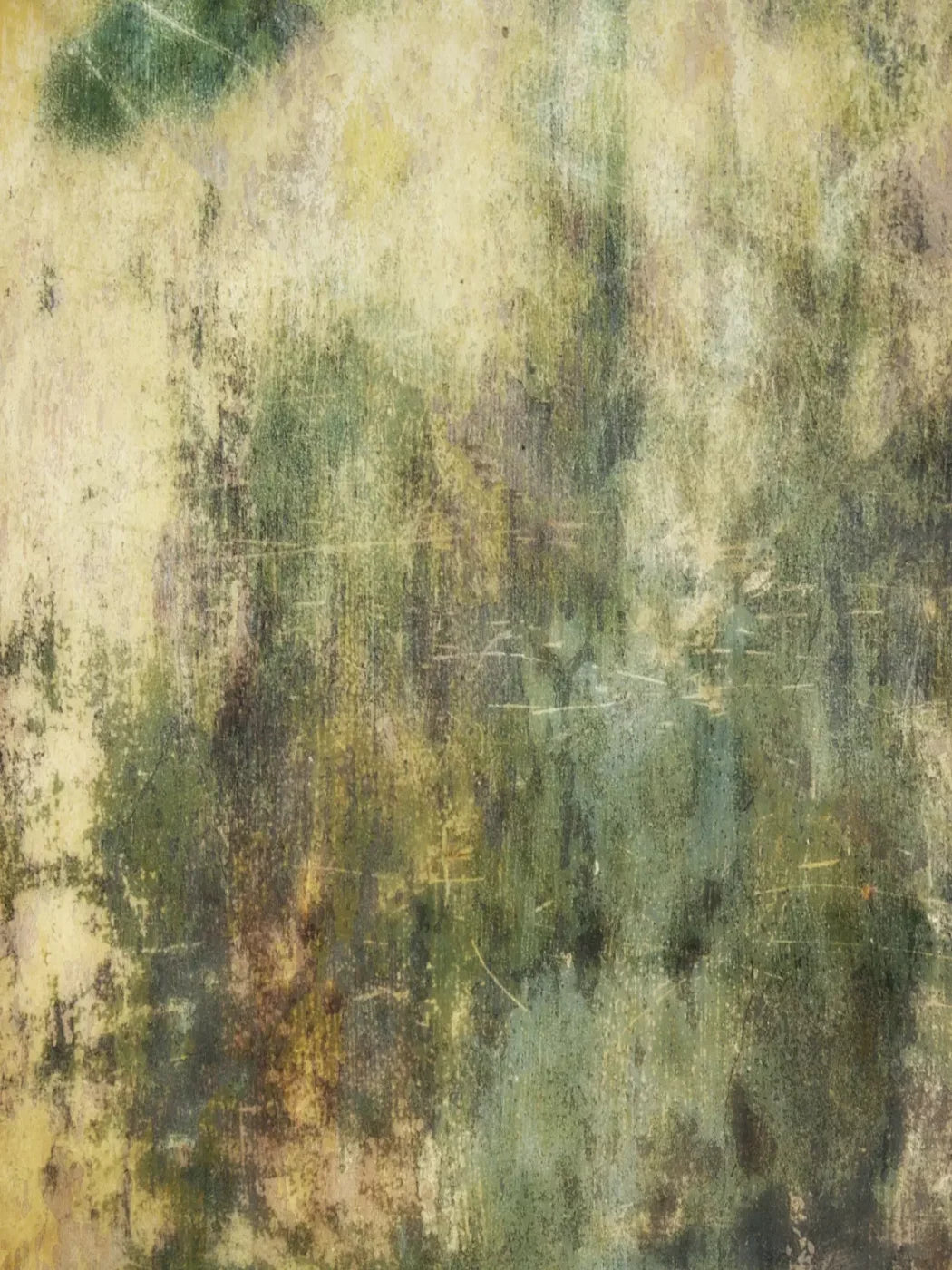 Eucalyptus Grunge 8X10 Fleece ( 96 X 120 Inch ) Backdrop