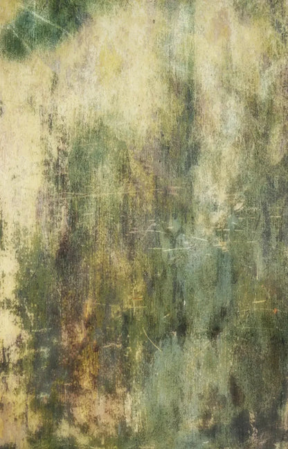 Eucalyptus Grunge 8X12 Ultracloth ( 96 X 144 Inch ) Backdrop
