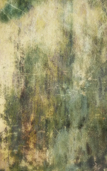 Eucalyptus Grunge 9X14 Ultracloth ( 108 X 168 Inch ) Backdrop