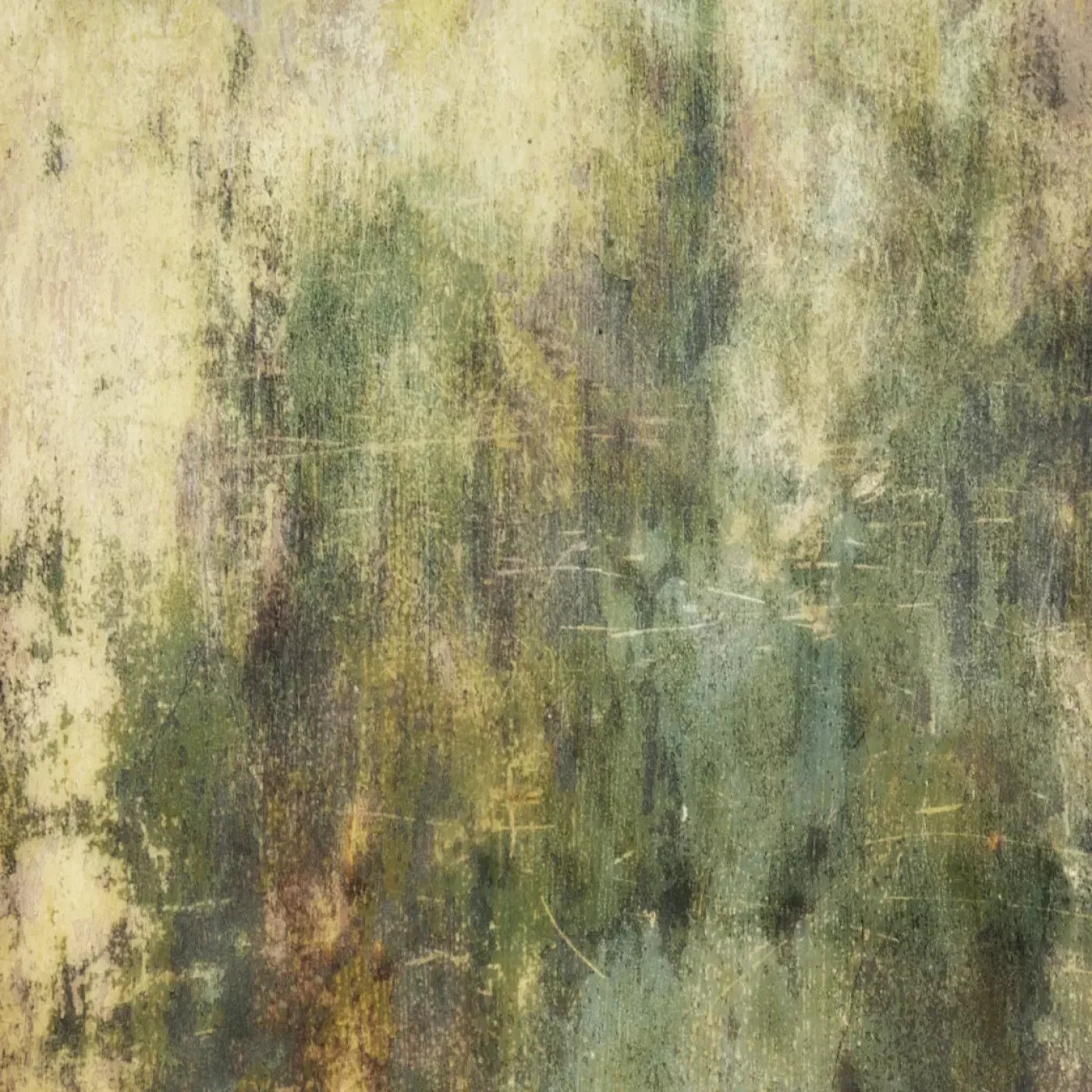 Eucalyptus Grunge Backdrop