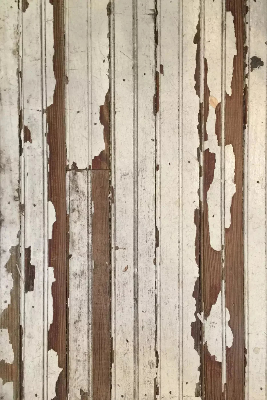 Eureka Backdrop