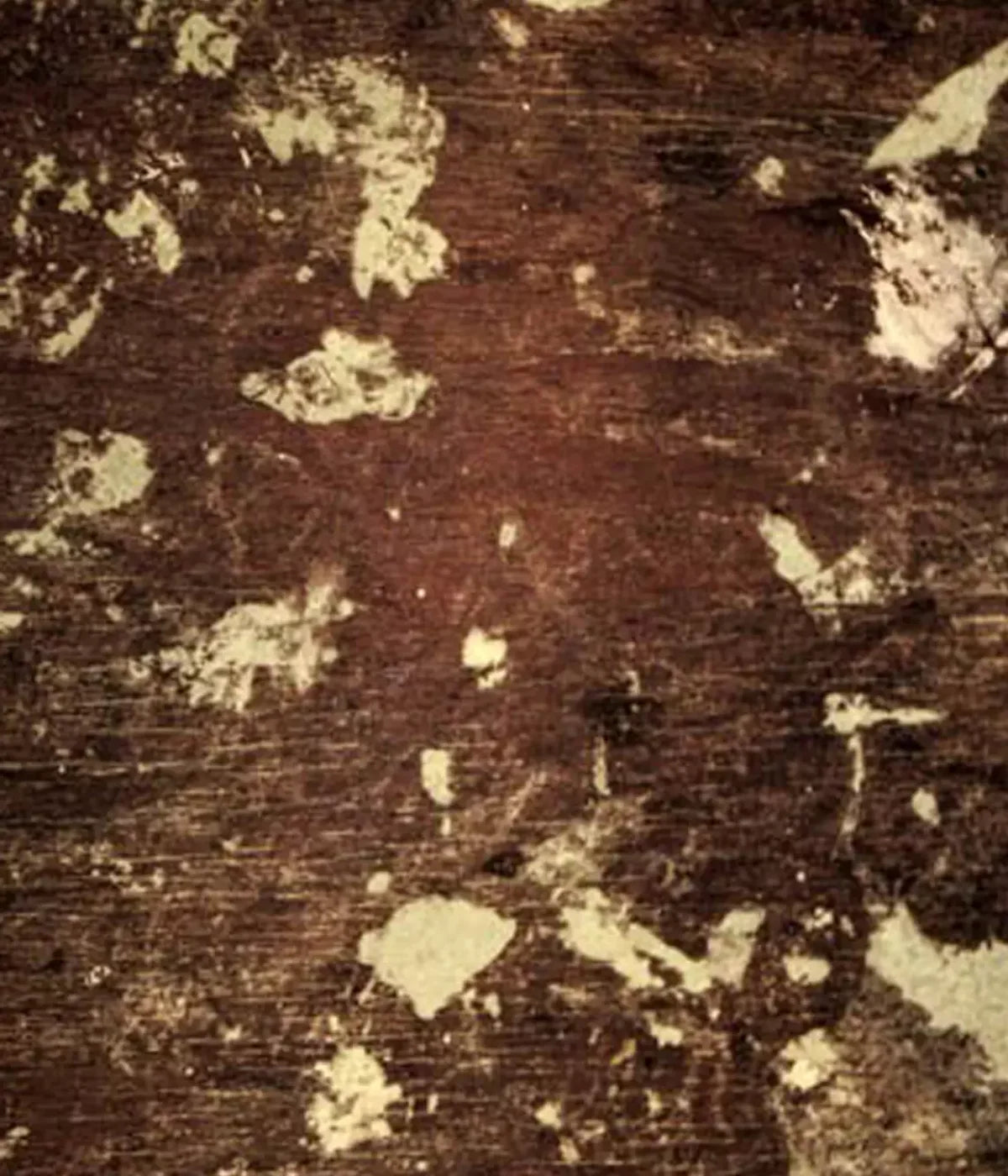 Evade 10’X12’ Ultracloth (120 X 144 Inch) Backdrop