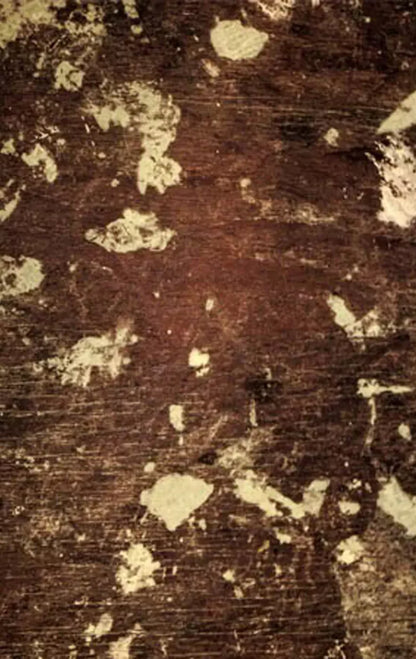 Evade 10’X16’ Ultracloth (120 X 192 Inch) Backdrop