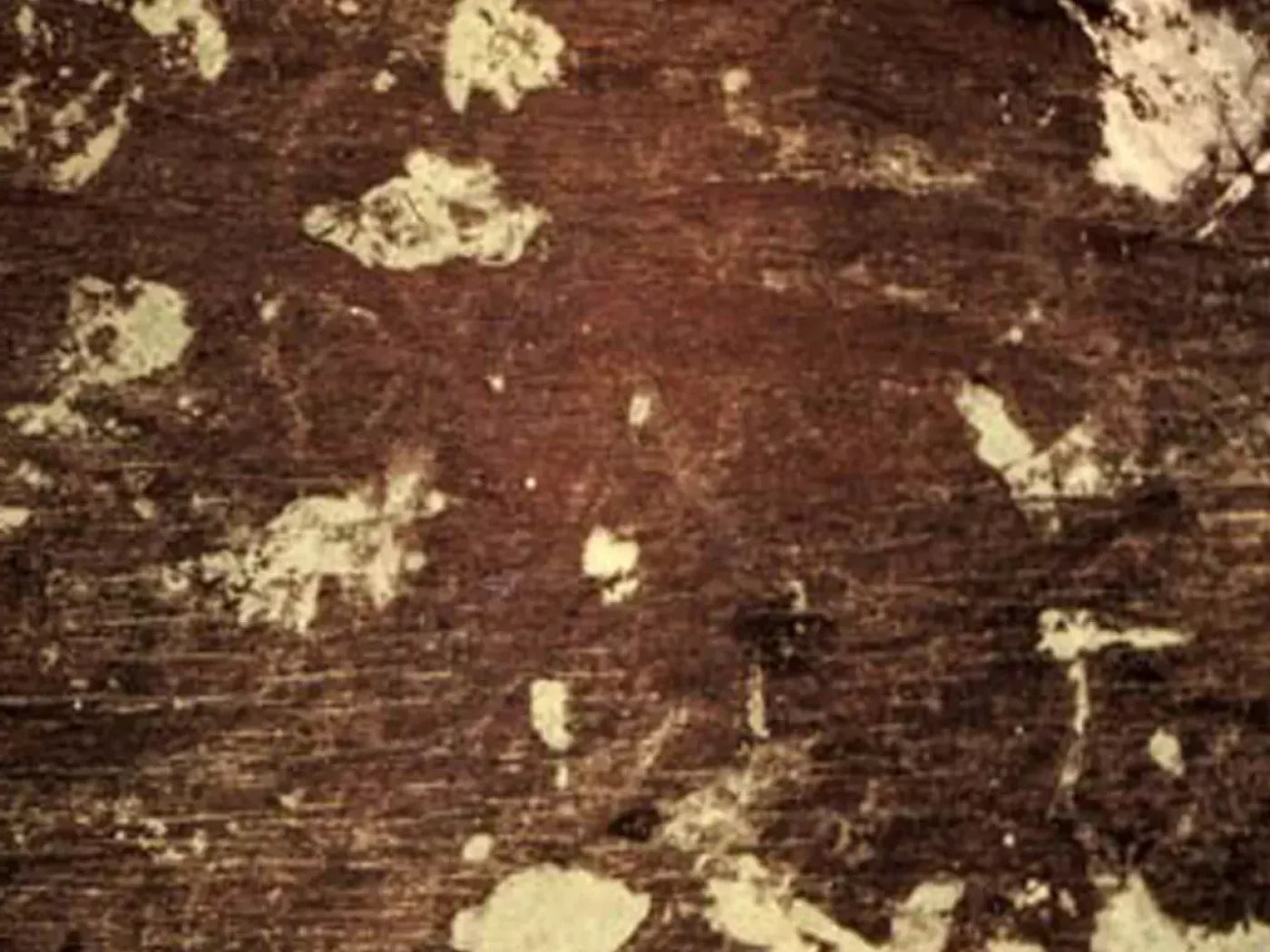 Evade 10’X8’ Fleece (120 X 96 Inch) Backdrop