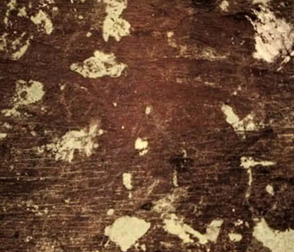Evade 12’X10’ Ultracloth (144 X 120 Inch) Backdrop