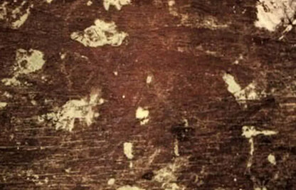Evade 12’X8’ Ultracloth (144 X 96 Inch) Backdrop