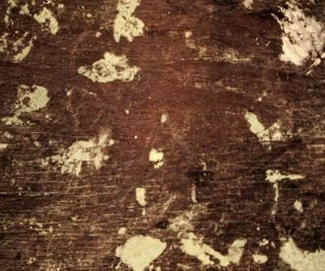 Evade 5’X4’2’’ Fleece (60 X 50 Inch) Backdrop