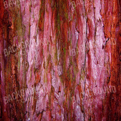 Eve 10X10 Ultracloth ( 120 X Inch ) Backdrop