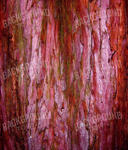 Eve 10X12 Ultracloth ( 120 X 144 Inch ) Backdrop