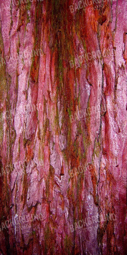 Eve 10X20 Ultracloth ( 120 X 240 Inch ) Backdrop